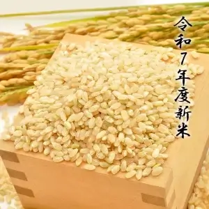 <small>(令和7年度新米)</small><br>コシヒカリ玄米