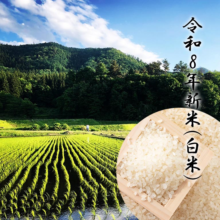 (令和8年新米) コシヒカリ白米